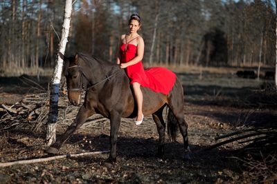 A young woman wearing a red dress rides a horse in the evening in the soft sunlight