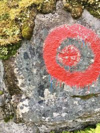 Red rock in water