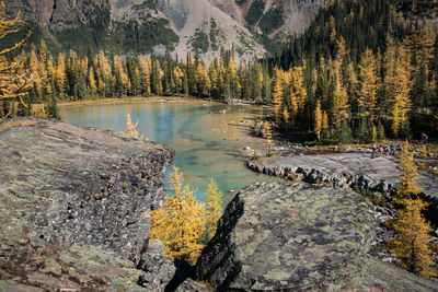 Scenic view of lake by trees against mountain