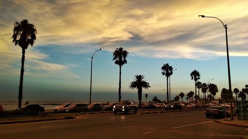 Silhouette palm trees on street against sky at sunset