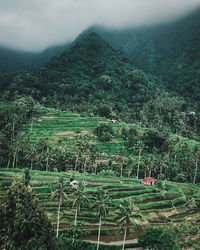 Scenic view of field against mountains