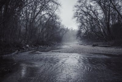 Scenic view of trees against sky during winter