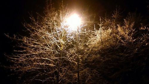 Low angle view of firework display