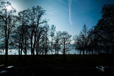 Trees against sky