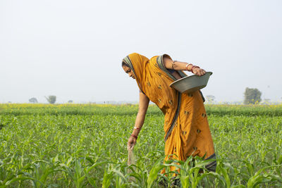 Woman farmers giving fertiliser in the crop