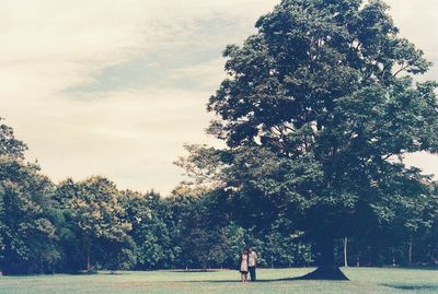 Man standing by tree on field against sky