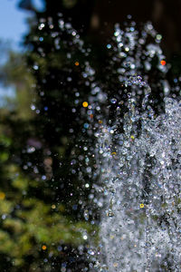 Close-up of water drops on tree against sky