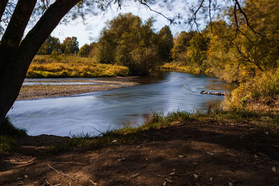 Scenic view of lake in forest against sky
