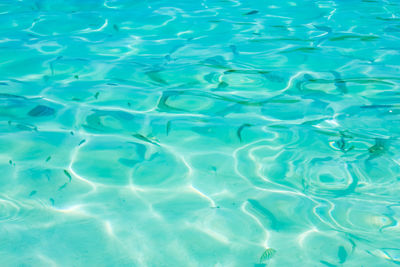 Full frame shot of swimming pool