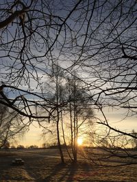 Bare tree against sky during sunset