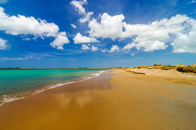 Scenic view of beach