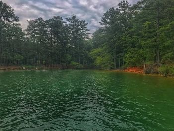 Scenic view of lake in forest against sky