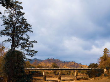 Trees on field against sky