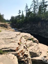 Scenic view of rocks in forest against sky