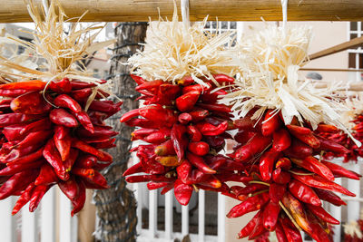 Close-up of red chili pepper hanging