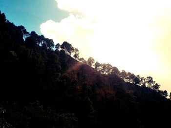 Low angle view of trees against sky