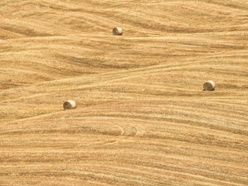 Hay bales on field