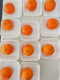 Directly above shot of orange fruits in plate