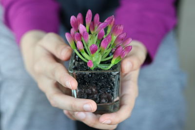 Close-up of hand holding purple flower