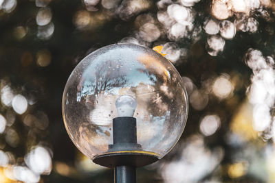 Close-up of illuminated light bulb