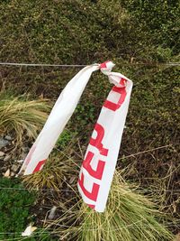 High angle view of arrow sign on grassy field