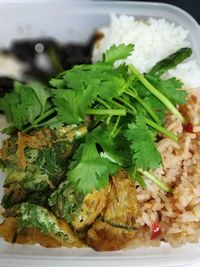 Close-up of food in plate