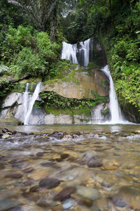 Waterfall in forest