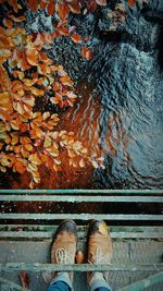 Low section of man standing by maple leaf during autumn