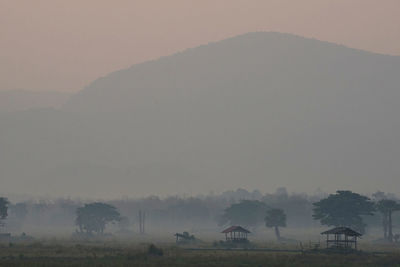 Scenic view of field against sky during foggy weather