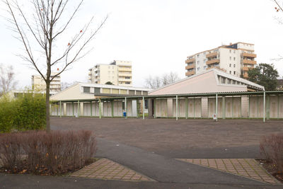 Bare trees against buildings