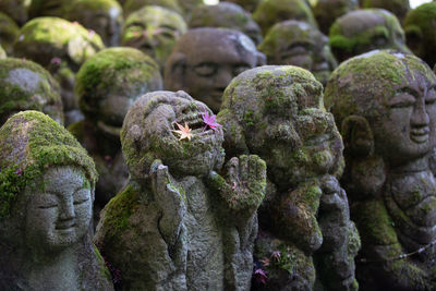 Close-up of mossy statues