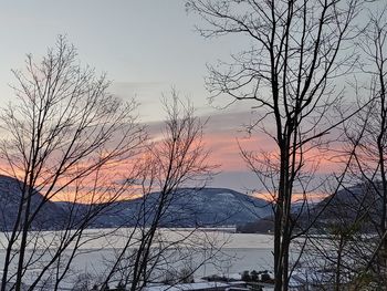 Bare tree by lake against sky during sunset