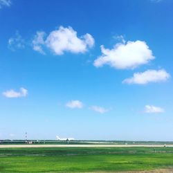 Scenic view of grassy field against sky