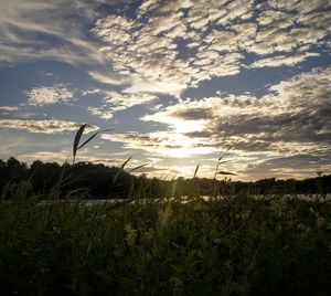 Scenic view of field against cloudy sky