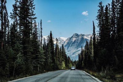 Road amidst trees and snowcapped mountains against sky