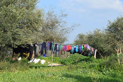 Clothes hanging on rope over grassy field