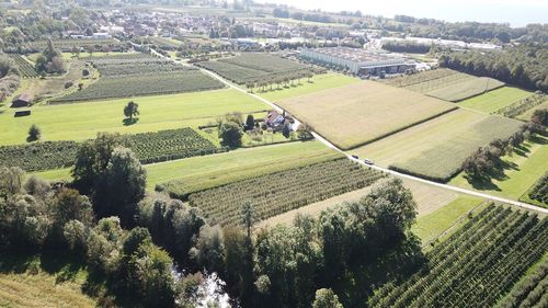 High angle view of agricultural field