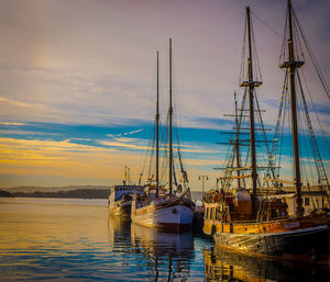 Boats in harbor