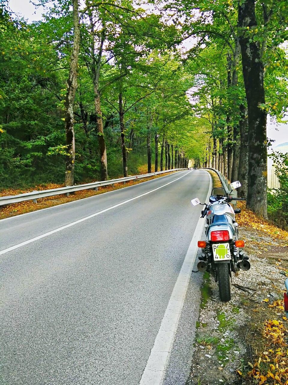 transportation, tree, mode of transport, the way forward, land vehicle, road, men, on the move, car, rear view, diminishing perspective, bicycle, lifestyles, walking, street, vanishing point, riding, travel