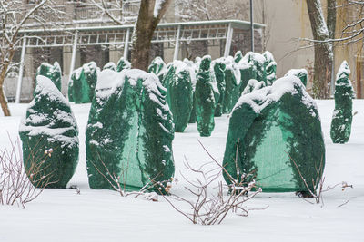 snow