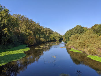 Scenic view of lake against clear blue sky