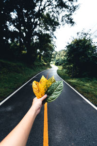 Cropped image of person holding yellow flower on road