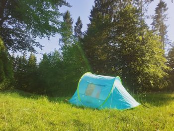 Tent on field against trees in forest