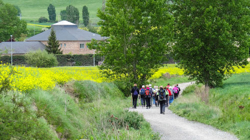 Rear view of people walking on footpath amidst field