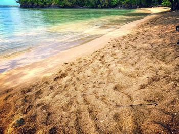 Scenic view of beach