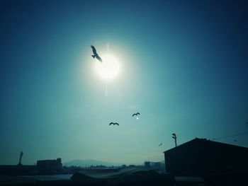 Low angle view of silhouette birds flying in sky