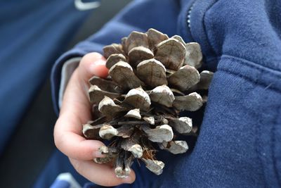 Close-up of person holding hand