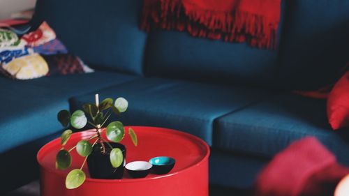 Close-up of sofa on table at home