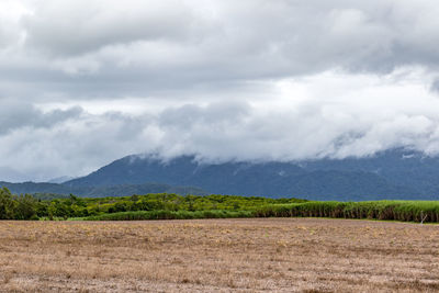 Scenic view of field against sky