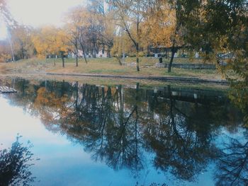 Reflection of trees in water